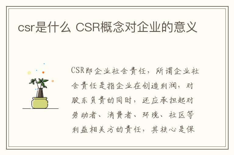 csr是什么 CSR概念对企业的意义