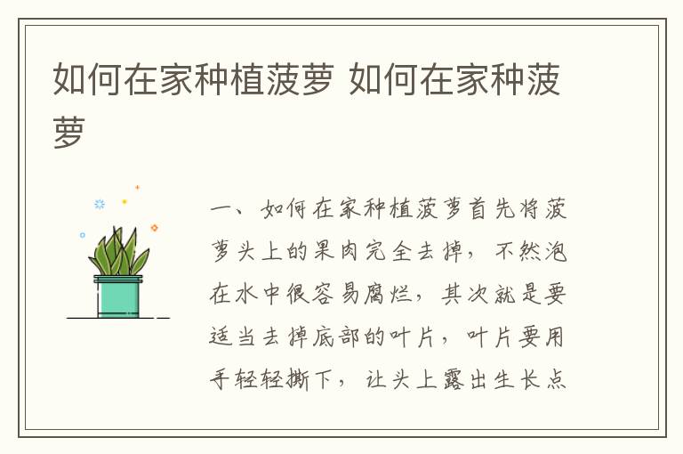 如何在家种植菠萝 如何在家种菠萝