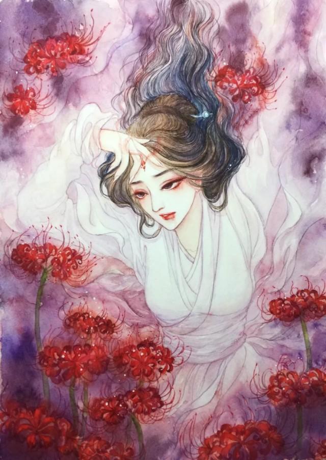 彼岸花图片（彼岸花的寓意和花语）