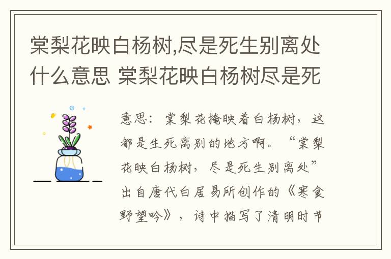 棠梨花映白杨树,尽是死生别离处什