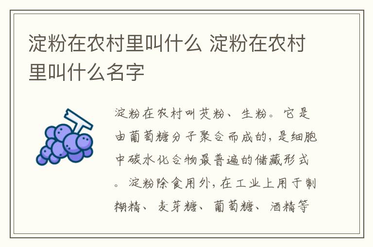 淀粉在农村里叫什么 淀粉在农村里叫什么名字