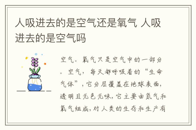 人吸进去的是空气还是氧气 人吸进去的是空气吗