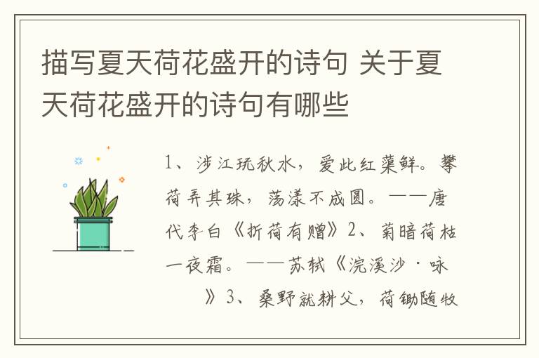 描写夏天荷花盛开的诗句 关于夏天荷花盛开的诗句有哪些