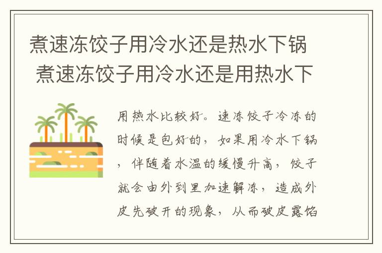 煮速冻饺子用冷水还是热水下锅 煮速冻饺子用冷水还是用热水下锅