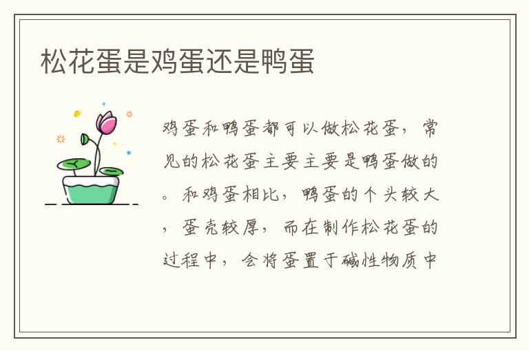 松花蛋是鸡蛋还是鸭蛋
