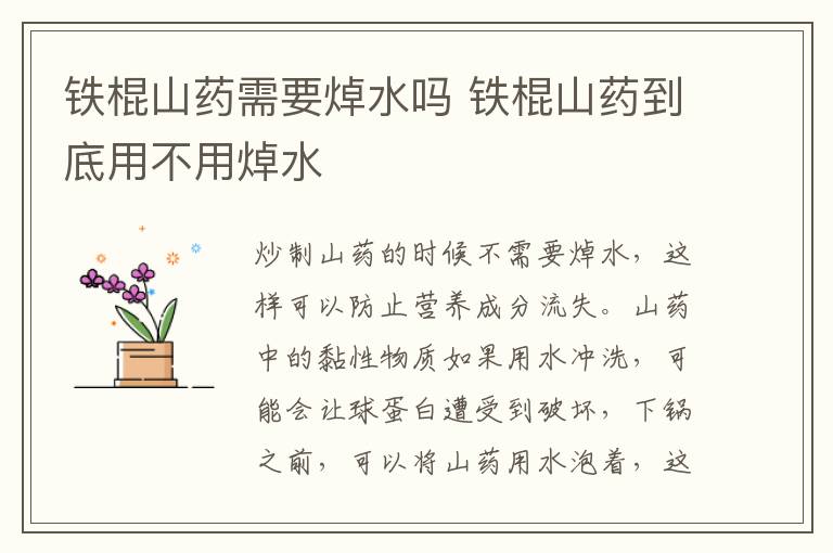 铁棍山药需要焯水吗 铁棍山药到底用不用焯水