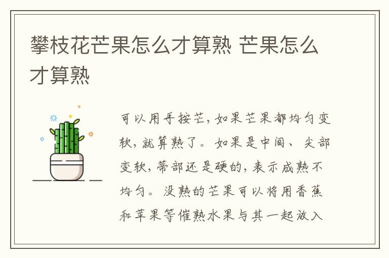 攀枝花芒果怎么才算熟 芒果怎么才算熟