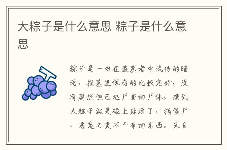 大粽子是什么意思 粽子是什么意思