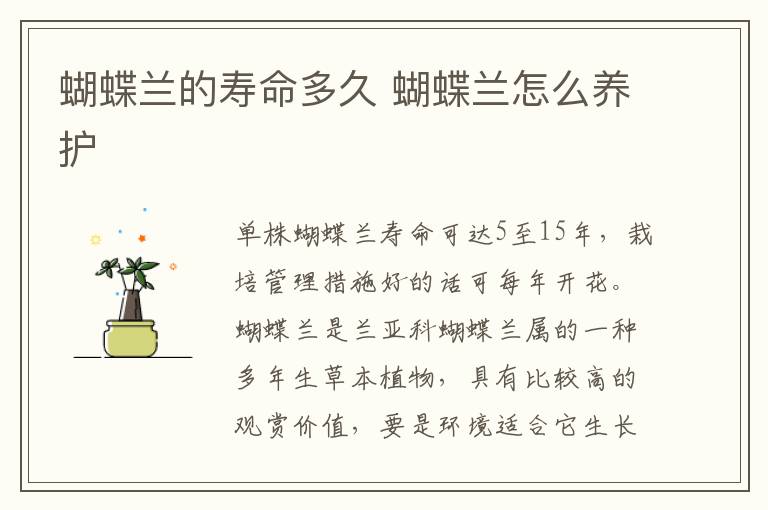 蝴蝶兰的寿命多久 蝴蝶兰怎么养护