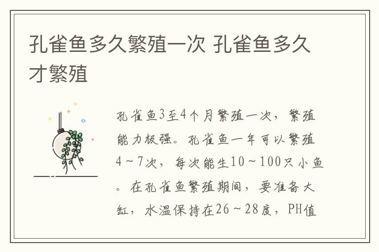 孔雀鱼多久繁殖一次 孔雀鱼多久才繁殖