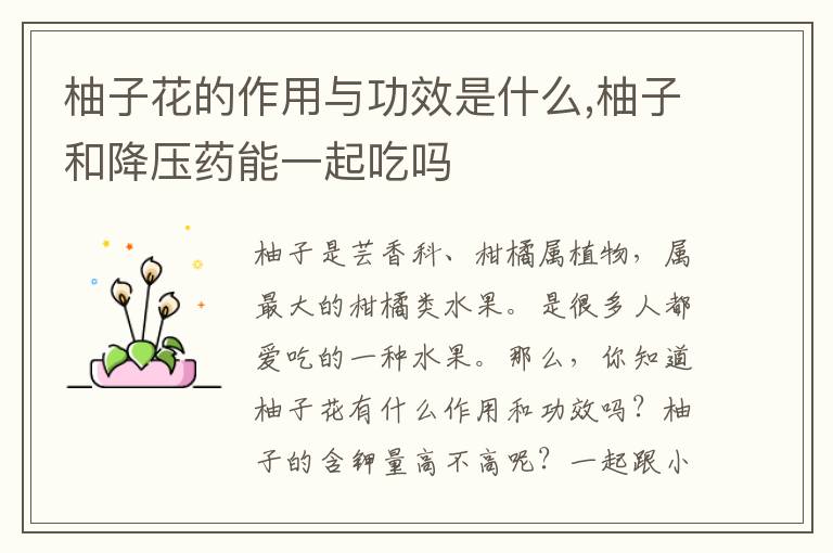 柚子花的作用与功效是什么,柚子和降压药能一起吃吗