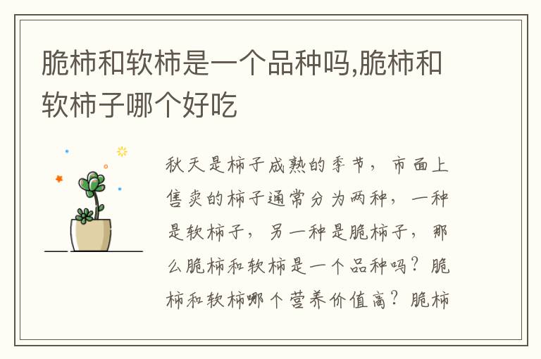 脆柿和软柿是一个品种吗,脆柿和软柿子哪个好吃
