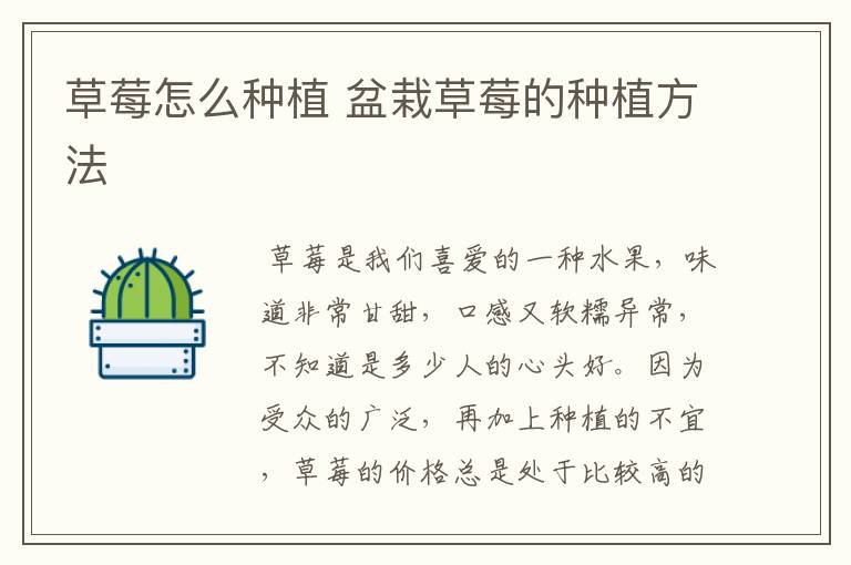 草莓怎么种植 盆栽草莓的种植方法