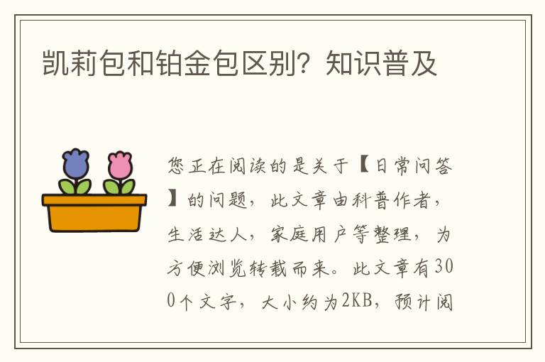 凯莉包和铂金包区别？知识普及