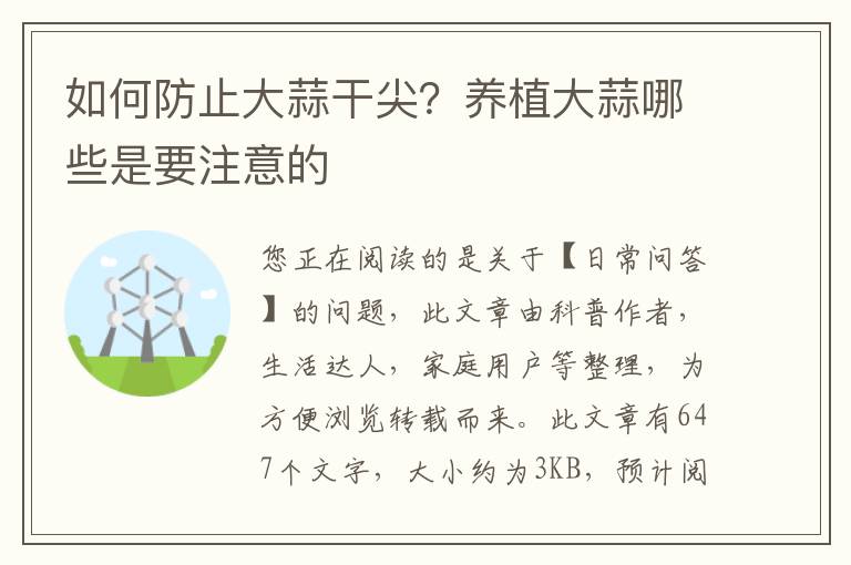 如何防止大蒜干尖？养植大蒜哪些是要注意的