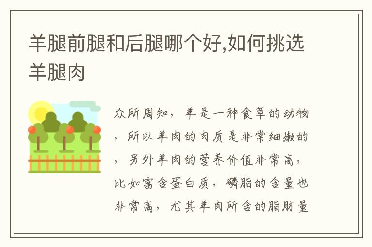 羊腿前腿和后腿哪个好,如何挑选羊腿肉