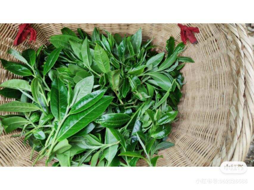关于普洱茶哪款好喝？（下关普洱茶哪款好喝）