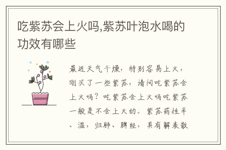 吃紫苏会上火吗,紫苏叶泡水喝的功效有哪些