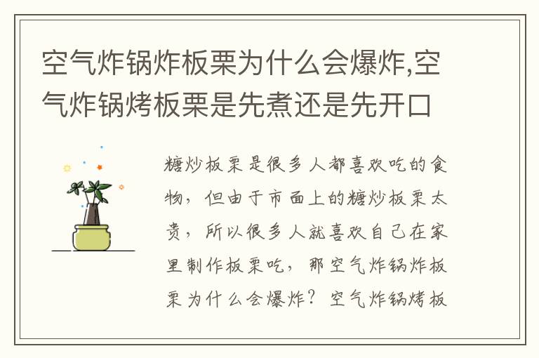 空气炸锅炸板栗为什么会爆炸,空气炸锅烤板栗是先煮还是先开口