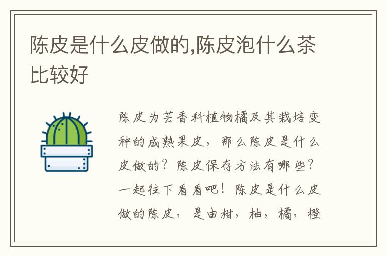 陈皮是什么皮做的,陈皮泡什么茶比