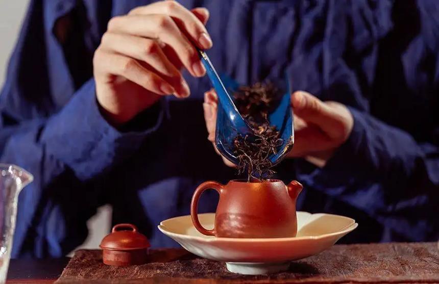 茶叶知识大扫盲，揭秘9个茶叶真相