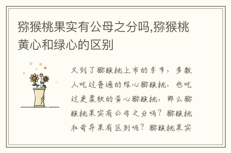 猕猴桃果实有公母之分吗,猕猴桃黄
