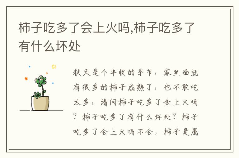 柿子吃多了会上火吗,柿子吃多了有什么坏处