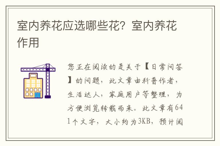 室内养花应选哪些花？室内养花作用