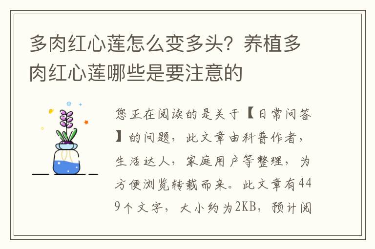 多肉红心莲怎么变多头？养植多肉红心莲哪些是要注意的
