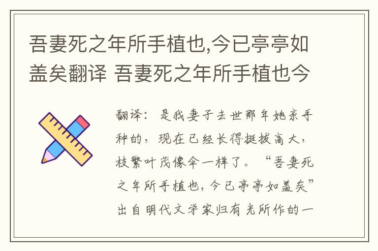吾妻死之年所手植也,今已亭亭如盖矣翻译 吾妻死之年所手植也今已亭亭如盖矣译文