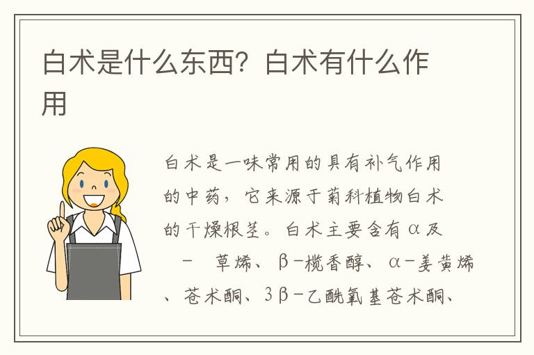 白术是什么东西？白术有什么作用