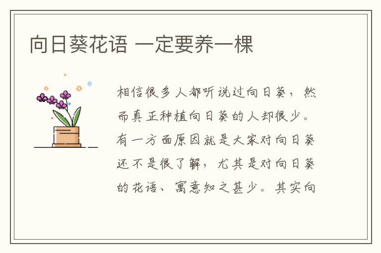 向日葵花语 一定要养一棵