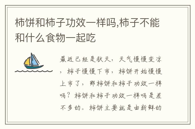 柿饼和柿子功效一样吗,柿子不能和