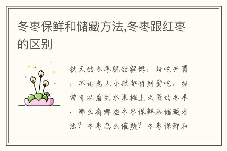冬枣保鲜和储藏方法,冬枣跟红枣的