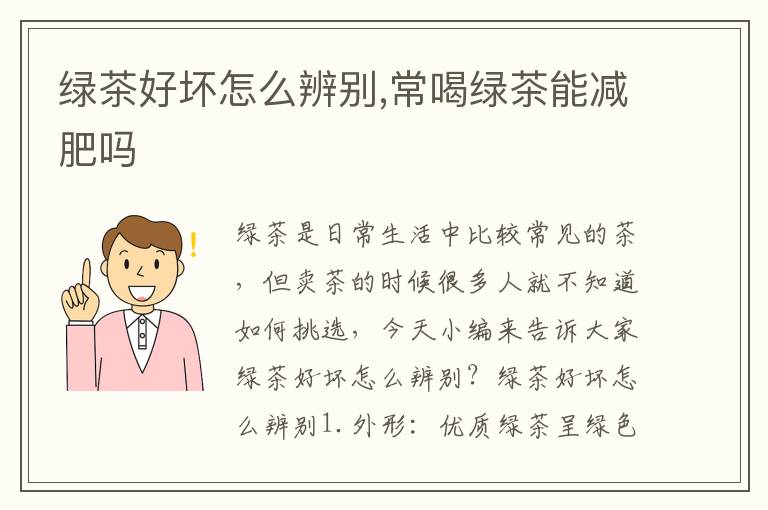 绿茶好坏怎么辨别,常喝绿茶能减肥吗