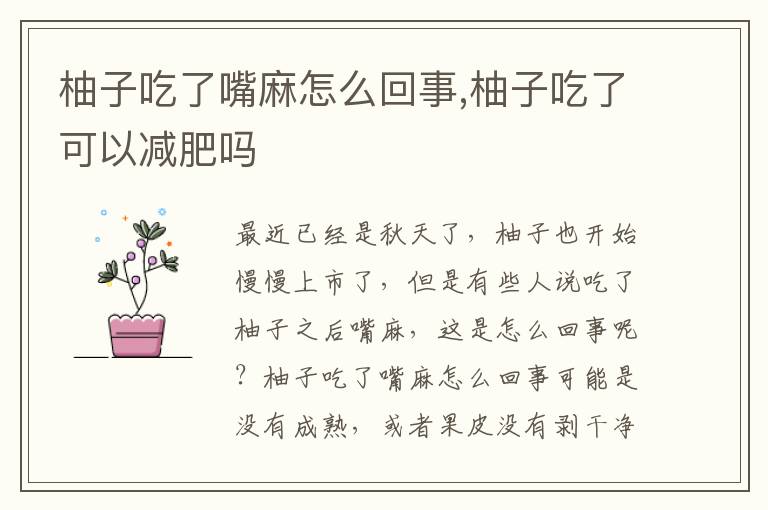 柚子吃了嘴麻怎么回事,柚子吃了可以减肥吗