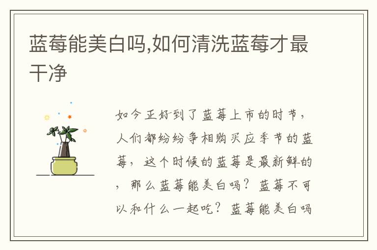蓝莓能美白吗,如何清洗蓝莓才最干净