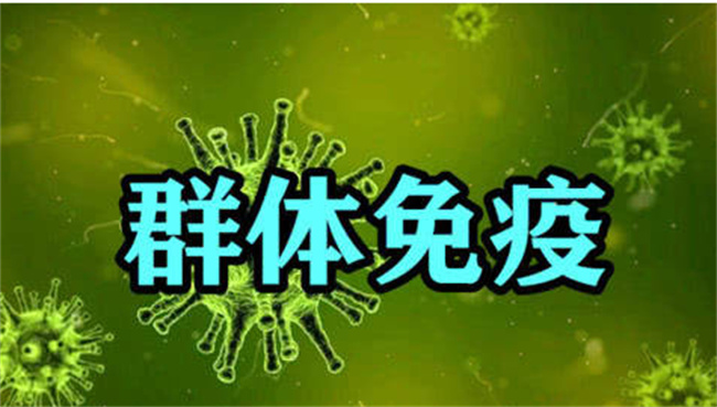 春节会不会形成群体免疫？_春节会形成群体免疫吗?