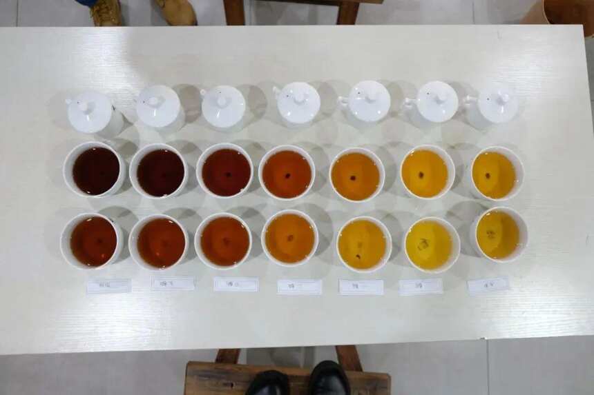 什么是普洱茶风味轮？常喝茶的你了解吗？