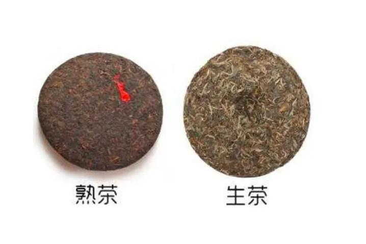 生普洱和熟普洱有什么区别？3招教你鉴别