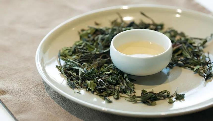 茶艺师的小秘诀，让你泡的茶更好喝