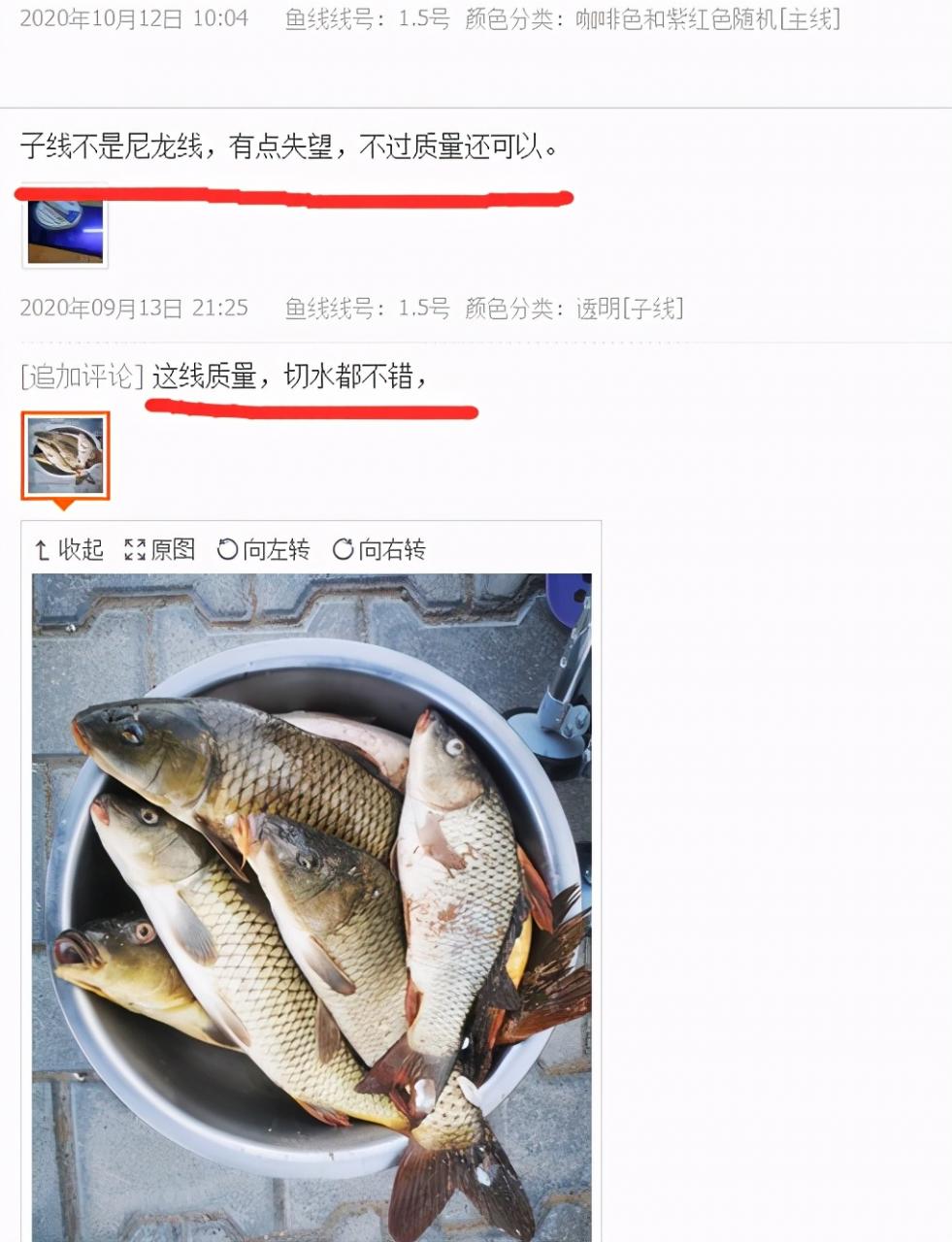 尼龙线和PE线的区别(PE线 尼龙线 碳素线哪个好) 尼龙线和PE线的区别(PE线 尼龙线 碳素线哪个好)