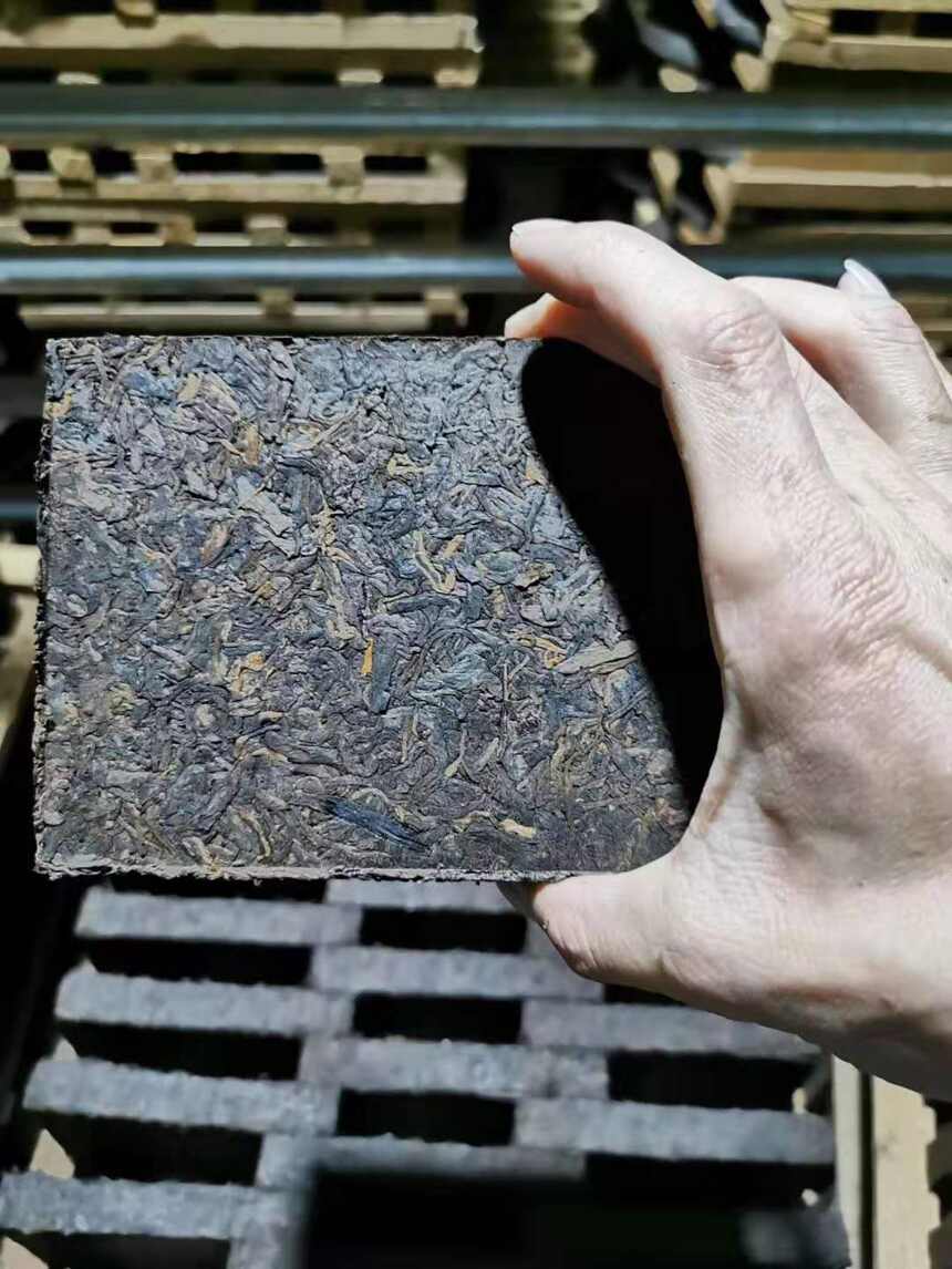 广东如何储存普洱茶才不会变质？