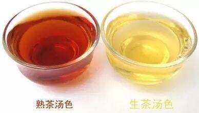 普洱茶生茶和熟茶的区别有哪些？