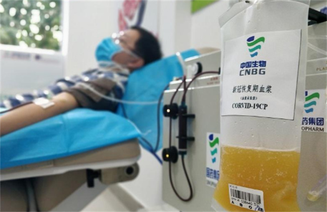 恢复期血浆真的可以救治新冠重症患者？_治愈者血浆可以治疗新型冠状病毒吗