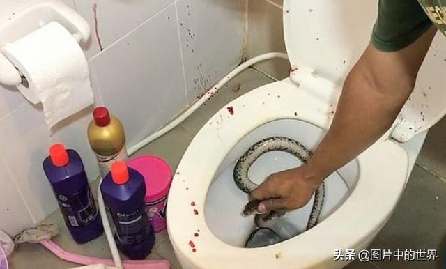 最恐怖的图片大全？31张毛骨悚然的照片来袭