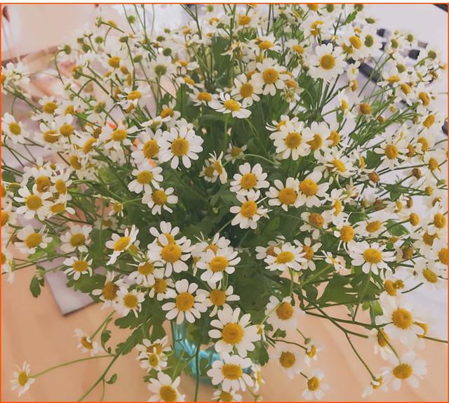 花卉大全及花名？32种鲜切花花名
