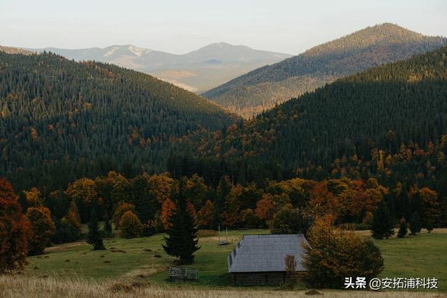 空气净化器功能分析？空气净化器的用途和净化方式有哪些