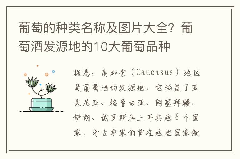 葡萄的种类名称及图片大全？葡萄酒发源地的10大葡萄品种