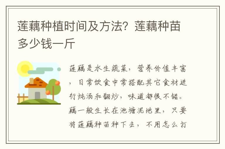 莲藕种植时间及方法？莲藕种苗多少钱一斤